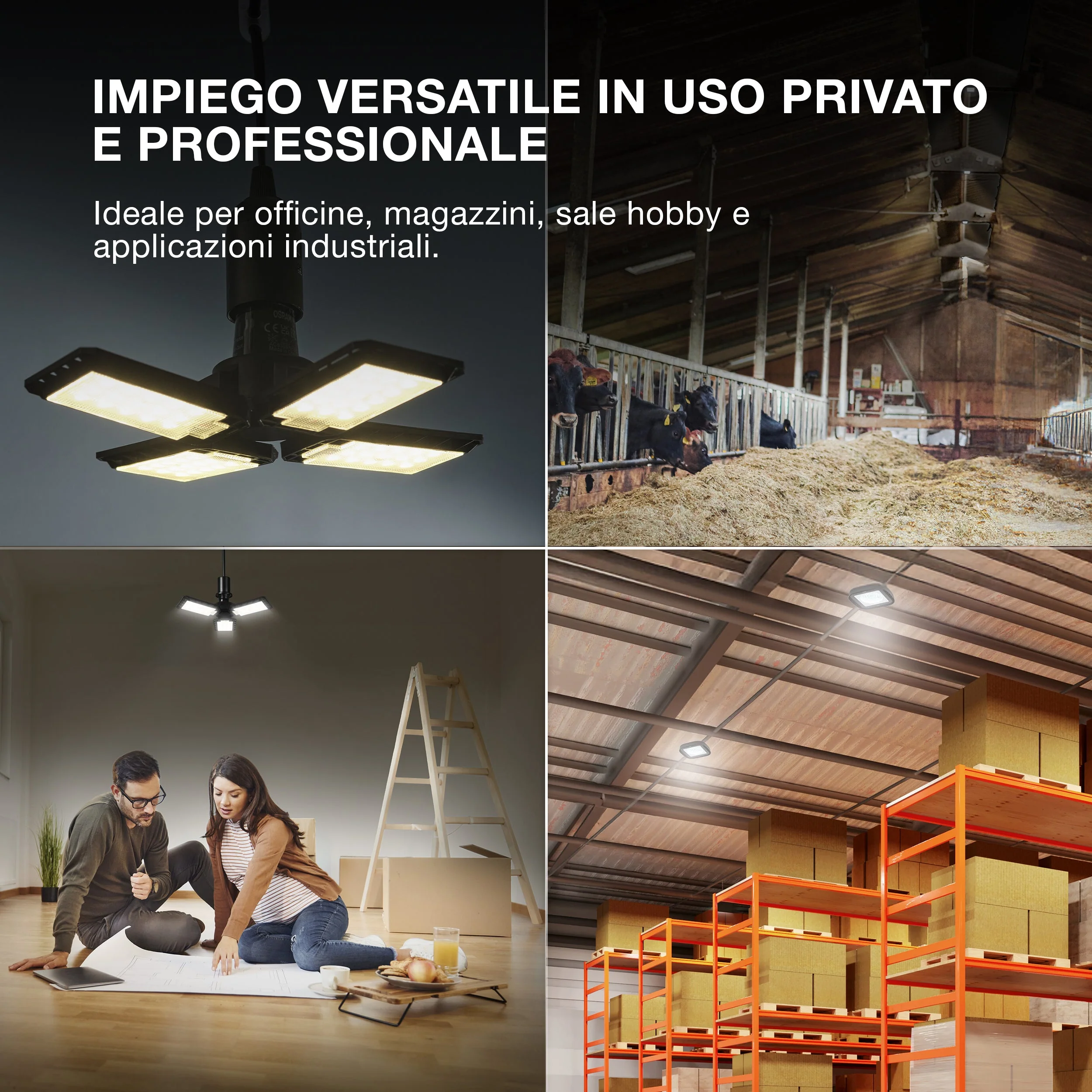 Immagine prodotto 6